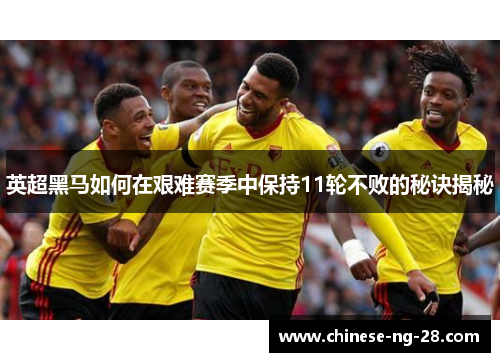 英超黑马如何在艰难赛季中保持11轮不败的秘诀揭秘 英超黑马如何在艰难赛季中保持11轮不败的秘诀揭秘
