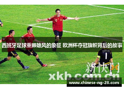 西班牙足球重振雄风的象征 欧洲杯夺冠旗帜背后的故事 西班牙足球重振雄风的象征 欧洲杯夺冠旗帜背后的故事